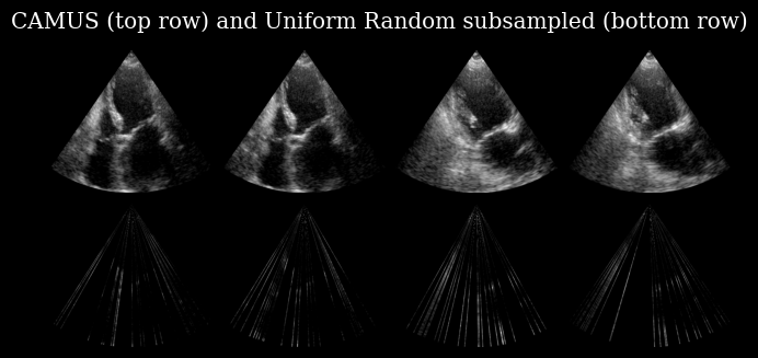 hvae_subsampled