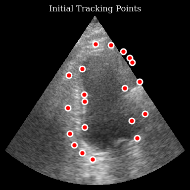 ../../_images/notebooks_models_speckle_tracking_example_12_0.png